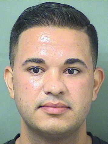  JOHNATHAN ALMONTE Results from Palm Beach County Florida for  JOHNATHAN ALMONTE