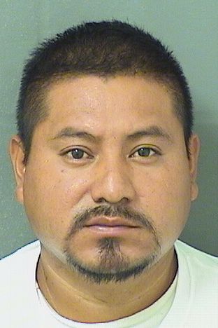  EDWIN OSLEL LOPEZ SALES Results from Palm Beach County Florida for  EDWIN OSLEL LOPEZ SALES