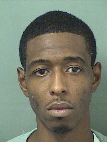  BRYAN A DALEY Results from Palm Beach County Florida for  BRYAN A DALEY