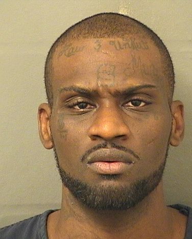  COREY BERNARD ANTHONY Jr Results from Palm Beach County Florida for  COREY BERNARD ANTHONY Jr