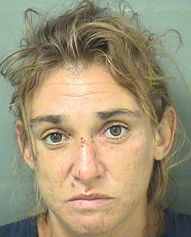  NICLOLE ELIZABETH PRENDERGAST Results from Palm Beach County Florida for  NICLOLE ELIZABETH PRENDERGAST