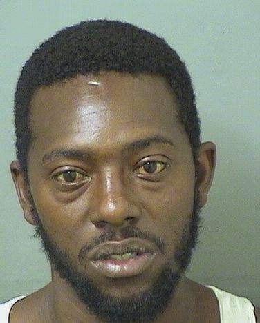  RONALD J JACKSON Results from Palm Beach County Florida for  RONALD J JACKSON