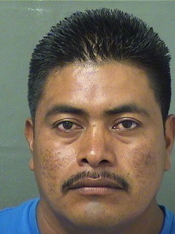 NOE AMERICOMORALEZ SANCHEZ Photos For  NOE AMERICOMORALEZ SANCHEZ  NOE AMERICOMORALEZ SANCHEZ Photo For  NOE AMERICOMORALEZ SANCHEZ