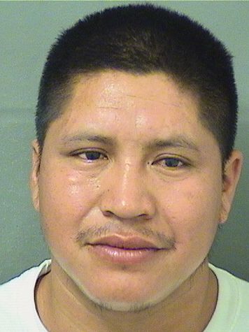  JULIO JUANDEJUAN Results from Palm Beach County Florida for  JULIO JUANDEJUAN