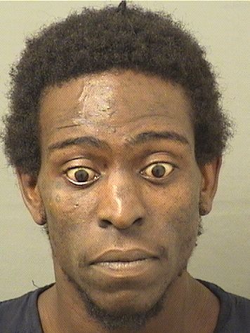  CORNELIUS J JACKSON Results from Palm Beach County Florida for  CORNELIUS J JACKSON