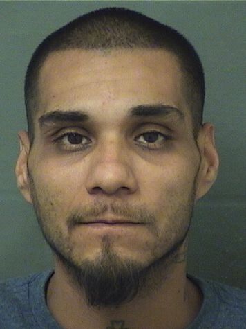  RAUL GALLEGOS Resultados de la busqueda para Palm Beach County Florida para  RAUL GALLEGOS