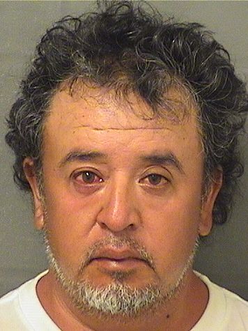  MIGUEL ANGEL MEDINAOLMOS Results from Palm Beach County Florida for  MIGUEL ANGEL MEDINAOLMOS