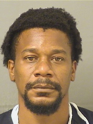  MICHAEL JEROME REMBERT Results from Palm Beach County Florida for  MICHAEL JEROME REMBERT