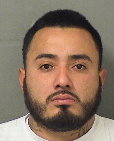  MARTON SANCHEZ Photo For  MARTON SANCHEZ