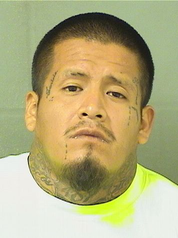  JAIME FRANCISCOALONSO Resultados de la busqueda para Palm Beach County Florida para  JAIME FRANCISCOALONSO