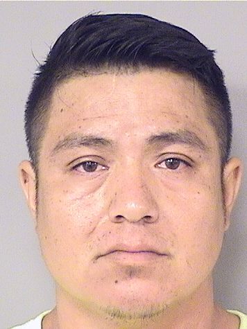  SAMMIE NERI Photo For  SAMMIE NERI