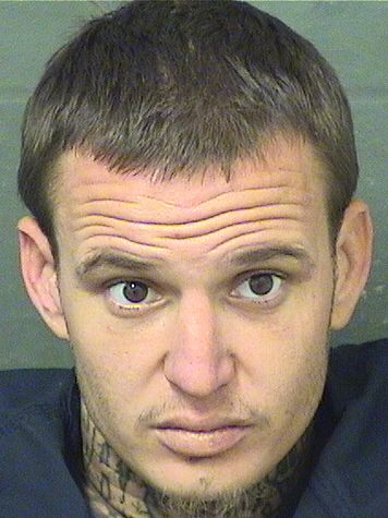  DAVID BOTT Resultados de la busqueda para Palm Beach County Florida para  DAVID BOTT