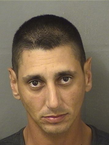  SCOTT GREGORY DELFINO Resultados de la busqueda para Palm Beach County Florida para  SCOTT GREGORY DELFINO