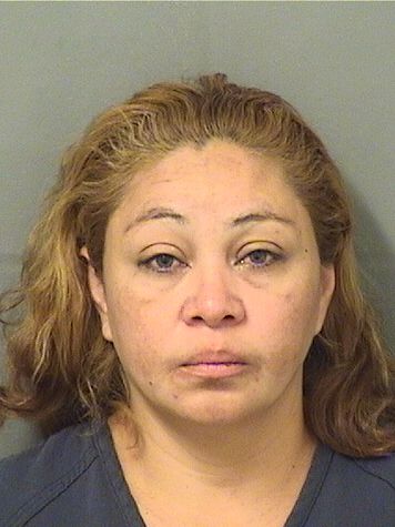  ROSA HAYDEE CANO Results from Palm Beach County Florida for  ROSA HAYDEE CANO