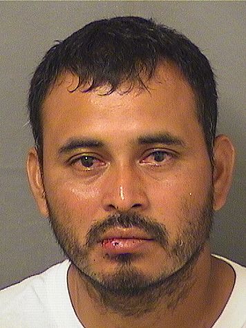  JUAN M HERNANDEZFLORES Results from Palm Beach County Florida for  JUAN M HERNANDEZFLORES