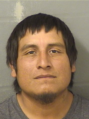 ADAM DOMINGUEZ Results from Palm Beach County Florida for ADAM DOMINGUEZ ADAM DOMINGUEZ Results from Palm Beach County Florida for ADAM DOMINGUEZ