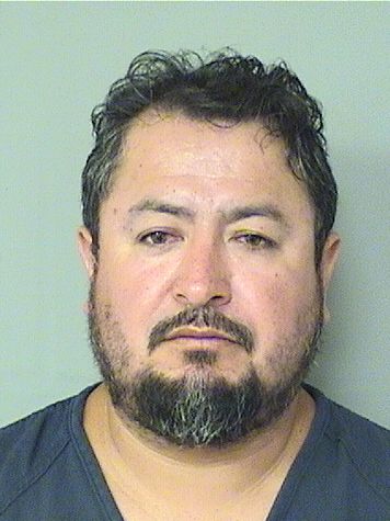  DAVID HERNANDEZ MEDINA Results from Palm Beach County Florida for  DAVID HERNANDEZ MEDINA