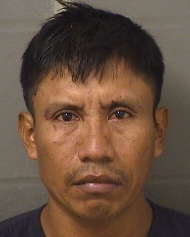  FRANCISCO AJANELENCARNACION Results from Palm Beach County Florida for  FRANCISCO AJANELENCARNACION
