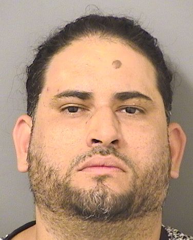  JORGE FERNANDO MADERA Results from Palm Beach County Florida for  JORGE FERNANDO MADERA