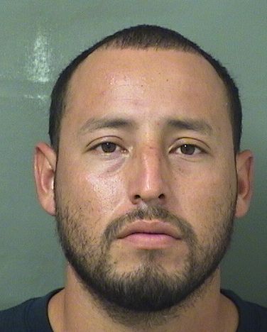  MIGUEL ANTONIO ALAMOGONZALEZ Results from Palm Beach County Florida for  MIGUEL ANTONIO ALAMOGONZALEZ