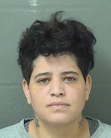  RACHEL LYNDSEE OTTO Results from Palm Beach County Florida for  RACHEL LYNDSEE OTTO