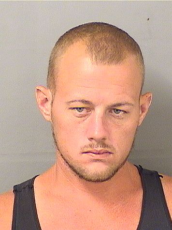  NICHOLAS WILLIAM THOMAS Results from Palm Beach County Florida for  NICHOLAS WILLIAM THOMAS