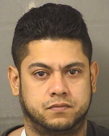  JOSE LUIS FLORES Results from Palm Beach County Florida for  JOSE LUIS FLORES