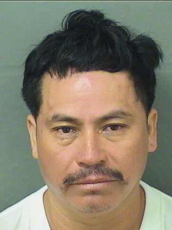  JUAN CARLOS VILLATOROLEON Results from Palm Beach County Florida for  JUAN CARLOS VILLATOROLEON