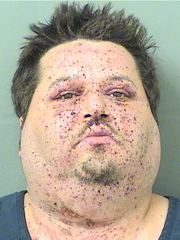  FELIPE DAVID SOTOLONGO Results from Palm Beach County Florida for  FELIPE DAVID SOTOLONGO