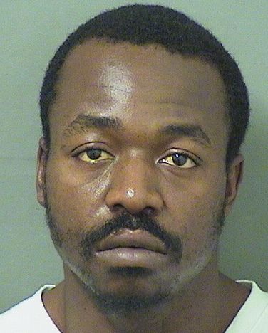  JAMES LEONCE LAURENT Results from Palm Beach County Florida for  JAMES LEONCE LAURENT