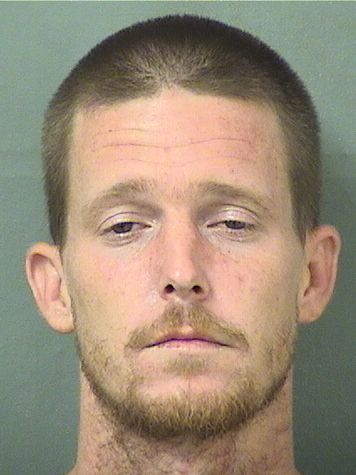  MICHAEL DOUGLAS DOWNEY Results from Palm Beach County Florida for  MICHAEL DOUGLAS DOWNEY