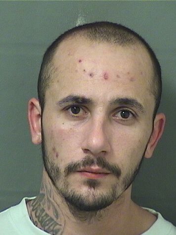  JOSEPH PASQUALINO ANDRIANO Results from Palm Beach County Florida for  JOSEPH PASQUALINO ANDRIANO