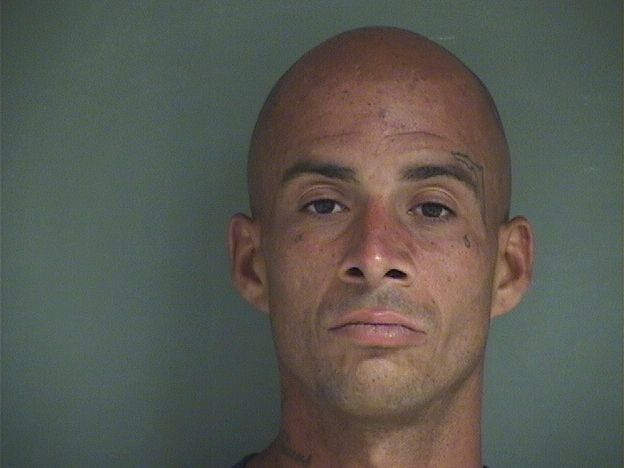  ALEX JOSEPH MEITH Results from Palm Beach County Florida for  ALEX JOSEPH MEITH