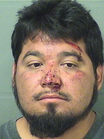RENE GERARDO LUIS Results from Palm Beach County Florida for RENE GERARDO LUIS RENE GERARDO LUIS Results from Palm Beach County Florida for RENE GERARDO LUIS