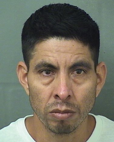  BALTAZAR B HERNANDEZ Results from Palm Beach County Florida for  BALTAZAR B HERNANDEZ