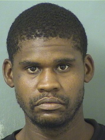  WILLIE E JAMISON Results from Palm Beach County Florida for  WILLIE E JAMISON