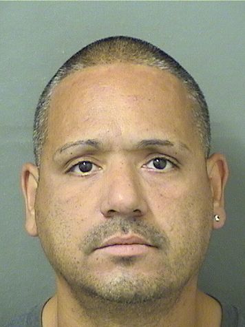  RICARDO JAVIER LUGO Results from Palm Beach County Florida for  RICARDO JAVIER LUGO