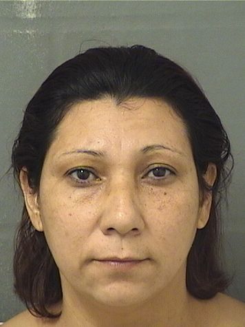  MARIA DELCARMEN REYESLEIVA Resultados de la busqueda para Palm Beach County Florida para  MARIA DELCARMEN REYESLEIVA