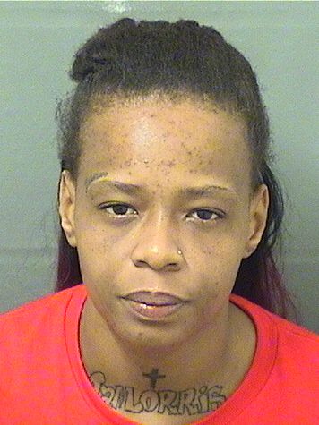  MARIE SHENETTE HYPPOLITE Results from Palm Beach County Florida for  MARIE SHENETTE HYPPOLITE