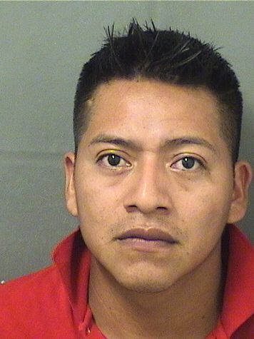  ARMANDO PEREZ VELASQUEZ Results from Palm Beach County Florida for  ARMANDO PEREZ VELASQUEZ