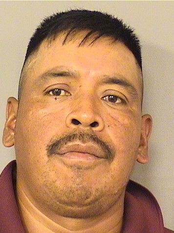  AUGUSTIN GONZALEZZACARIAS Results from Palm Beach County Florida for  AUGUSTIN GONZALEZZACARIAS