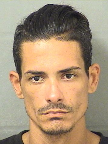  JORGE L APONTESANTIAGO Results from Palm Beach County Florida for  JORGE L APONTESANTIAGO