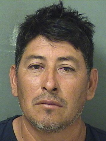  ANTONIO SANCHEZ Results from Palm Beach County Florida for  ANTONIO SANCHEZ