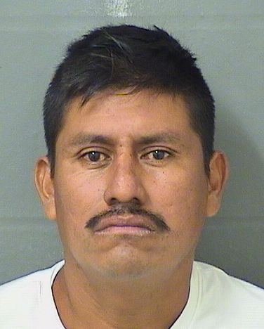  ROGELIO HERNANDEZ HERNANDEZ Results from Palm Beach County Florida for  ROGELIO HERNANDEZ HERNANDEZ