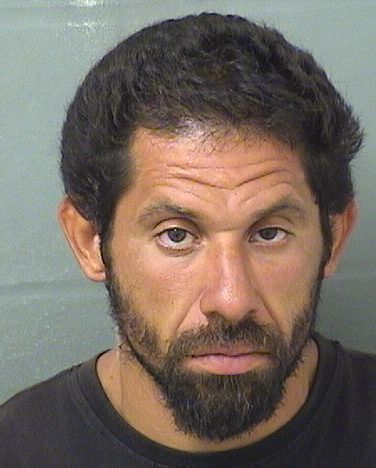  SAMMUEL EMMANUEL SANTIAGO Results from Palm Beach County Florida for  SAMMUEL EMMANUEL SANTIAGO