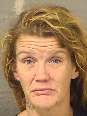  LISA SHEERER Results from Palm Beach County Florida for  LISA SHEERER