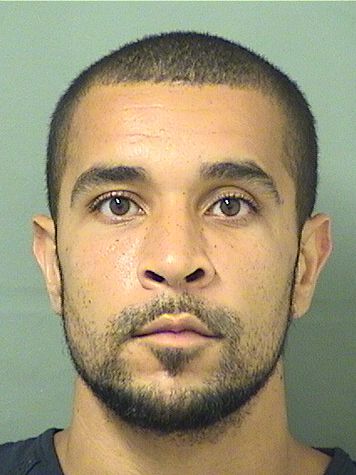 ADRIAN TORRELL RAINEY Results from Palm Beach County Florida for  ADRIAN TORRELL RAINEY