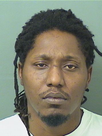  TIMOTHY TYRELL JOHNSON Resultados de la busqueda para Palm Beach County Florida para  TIMOTHY TYRELL JOHNSON