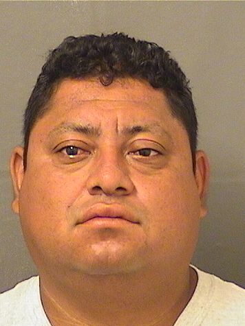  JORGE D PINEDADAVILA Resultados de la busqueda para Palm Beach County Florida para  JORGE D PINEDADAVILA