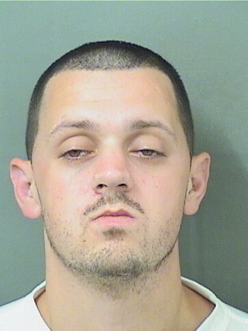  RYAN L NARRON Results from Palm Beach County Florida for  RYAN L NARRON